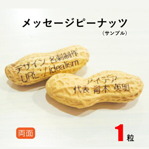 yzyTvz ł s[ibch@1@i󎚓e̎wsłjyh 쐬  zarigato03yԐzh/hp/ߕ/̓/I/oYj/