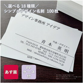 ビジネス 名刺 【送料無料】 デザイン 名刺 100枚～ 作成 印刷 / モノクロ シンプル PP 名刺ケース付 罫線 印刷 プリント 白黒