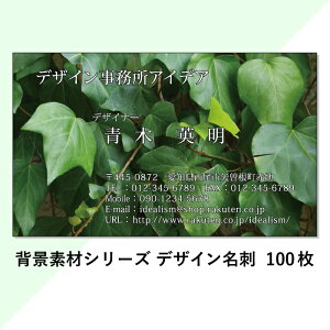 yzVO[^A^΁ fUCh 100  쐬 pyϗtAzyACr[zyRzyfޖhV[Yz