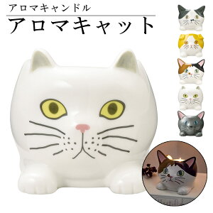 y{Point5{!zA}Lh Lh L  Lbg n` ~P yV \CA}Lh \CLh SETOCRAFT ZgNtg Lh^ Lh