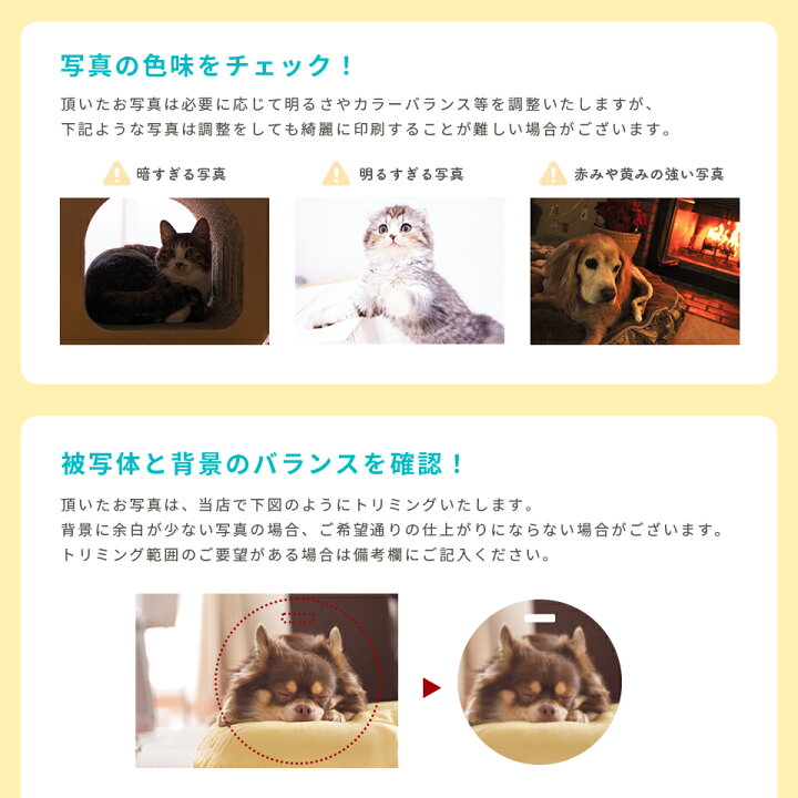 楽天市場】ペット メモリアル キーホルダー メモリアルグッズ 【ウチの 