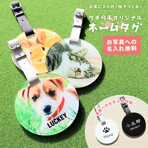 ybg A L[z_[ AObY yE`̎qIWil[^OzfUCl[^O l[v[g D  ʐ^  fUC fR v[g ybg