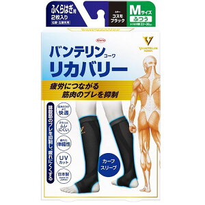 y`OXցEzoeR[@Jo[J[tX[uMiӂ͂33-38cmjubNi2荶Eʁj