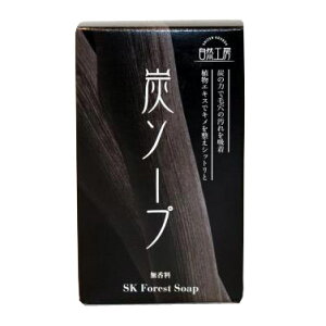 お得な2個セット【定形外郵便!送料無料】炭せっけん(炭ソープ)フォレストソープ 100g x2個