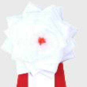 {ĹiJ ́j{o@^t@4F@cƓ14܂ł̂ő