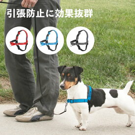 【売れ筋】犬 散歩 訓練 引っ張り防止に効果抜群 イージーウォークハーネス デラックス