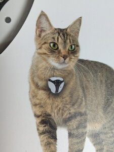 猫用ペットグッズ ペットカメラの人気商品 通販 価格比較 価格 Com