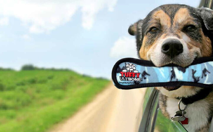 楽天市場 犬 おもちゃ ぬいぐるみ トラも遊ぶ世界最強のタフィ レギュラー ボーンレッド アイデアワールド 楽天市場 犬 おもちゃ ぬいぐるみ トラも遊ぶ世界最強のタフィ レギュラー ボーンレッド アイデアワールド