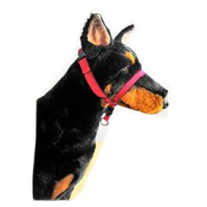 ���̂��� �P�� ��������h�~ ���ʔ��Q �W�F���g�����[�_�w�b�h�J���[