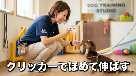 犬のしつけに必須のアイテム クリッカー