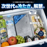 【大特価】2点購入で70％OFF日本食品衛生法適合 NISHIZARC 保冷剤 ステンレス Sサイズ 230g 超軽量 長時…