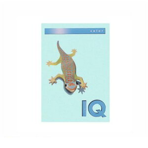 ɓ BT808 ~fBAu[ oCIgbvJ[A4 250 BT808~fBAu[