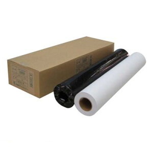 AWA IJPR-5950R 唻CNWFbgpʎĐ^Cvy2{z IJPR5950R