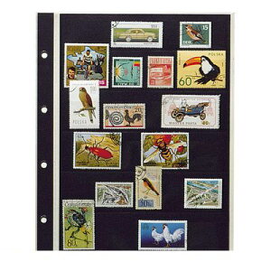 o e[W[ SB-306S X^vXyA[6i䎆y10z SB306S RNVAo XyA|Pbg ؎PЗp X^vAo fbNX