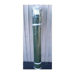 y11/25IIōő100|CgobNzVZC 4582193310877 y50z sE[J[s x 20×2.4m 50 C{| |x C{t _Ɨp |ǒ| ؉ a nL