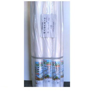 VZC 4582193311508 y2z sE[J[s _psDz 150×200 2 sDz炭炭K[h _Ɨp 150x200 150cm