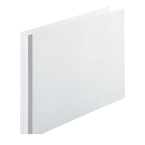 Z 1011 V GCi[t@C@W3E 1011V