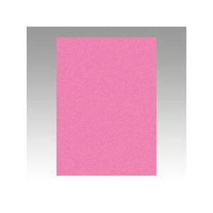 �����e�b�N GO4NCR-242 �j���[�J���[�F��p��4��100���@���F