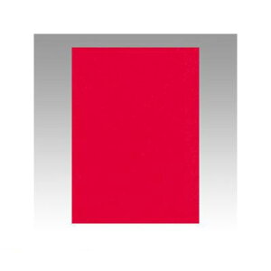 リンテック GO4NCR-317 ニューカラー色画用紙4切100枚 赤