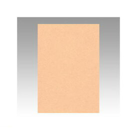 文運堂 8NCR-103 ニューカラー色画用紙8切100枚　薄橙 8NCR103