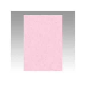 ^ 8NCR-218 j[J[Fp8100@ 8NCR218