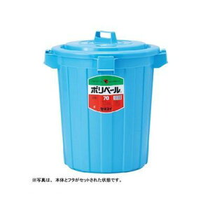 o ϐwH P70B |y[ی`y{́zy1z ZLXC |y[ی`{ |y[{̂̂ ϐeNm^ ݔ u[ y-