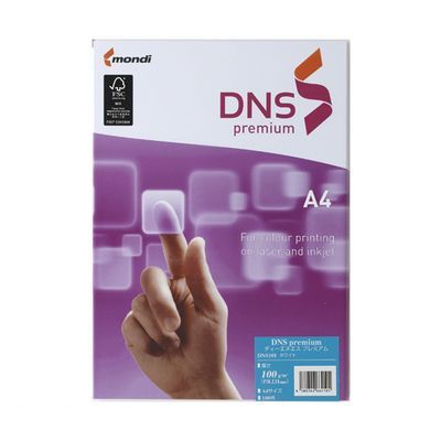 伊東屋 高品質 DNS501 DNSプレミアム 定番スタイル A4判 ５００枚