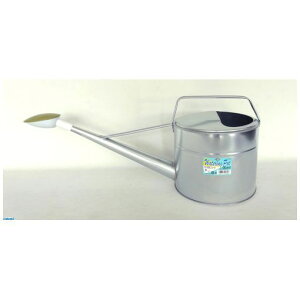 y11/25IIōő100|CgobNz㐻쏊 4907797003046 ݔN g^UW[ 6LyLZsz