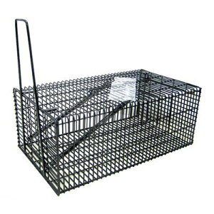 Rp 4935682028089 ubNEp^nEX L lY~߂ ߊl COMPAL ˂ݕߊl p^lY~߂ p^nEXL ol p^L