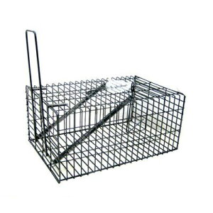 Rp 4935682028072 ubNEp^nEX lY~߂ ߊl COMPAL ubNpnEX K[fjOpi ˂ݕߊl ol |pi ߊl@ yLZsz