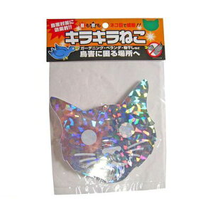 Rp 4935682022643 LL˂ 1P Vo[ COMPAL Q΍ɌʓI ATmYD ˃V[g h