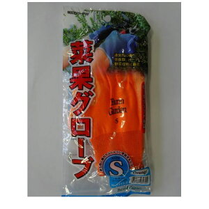 L{V 4951167431304 GS 4313|S ؉ʃO[uySz IW  K[fjO  | H _ _ KINBOSHI ؉ʃO[uIWyLZsz