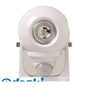 y11/25IIōő100|CgobNz4939736900642 i drZT[Cg DLB|NH200yWz DAISHIN ǂłȒPZT[Cg