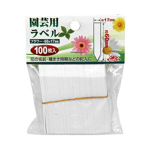 4977292639439 ZteB|3 |px񂴂100 60mm Y |pi ~͗pi |