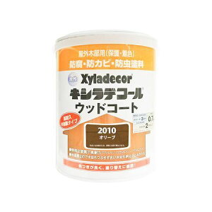 JynsI 00097670290000 LVfR[ EbhR[g I[u 0D7LyLZsz