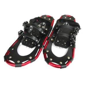 yF1zRp 4935682030556 A~EXm[V[ M-53 [ܕt bh ATmY 񂶂 Ⴉ ᓹ PD