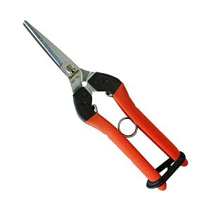 4976365202198 T{e O p NoDAG|9L Ռz O؂͂ O[p ՌzO