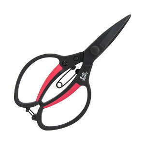 4977292628181 g GF A SGFP|3 GF[A Y OXt@Co[A |nT~ |pi | A