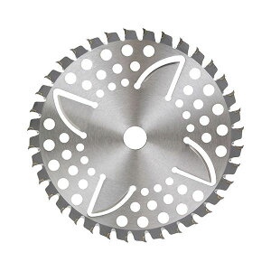 4977292643832 ZteB|3 `bv\[ tጸ 230mmx36P Y |p@ @֐n |pi tጸ^Cv @ @p  ނ  | ƒ؉  K[