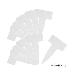 4977292639514 ZteB|3 |px T^100 _C Y ~͗pi |