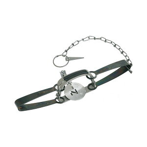 4589676164019 hqY gbvCtypeNO401 AG|1 hH ߊl C^Cv SAKAE gbvǌ^St Aj}gbv |pi