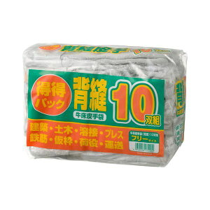 4952558172004 FGC XwD10og gNgNZkC10\EN~ xmO[u Ǝ v K[fO[u [NO[u K[fjO