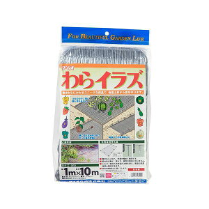 4960256460002 _CI _CICYBSG 1X10m Vo[ Dio _Ǝ 핢 쎑 Vo[OC鐫̃