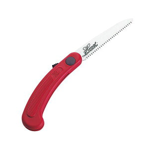 4965280031518 AX ԏ IK|10|R bh AXR[|[V ARS ԏbh ^ ԏRpNg ԏ