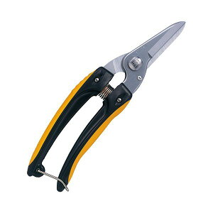 4965280656094 AX dCHpP[u pr 140DX|D P[upr^Cv AXR[|[V ARS dHP[u