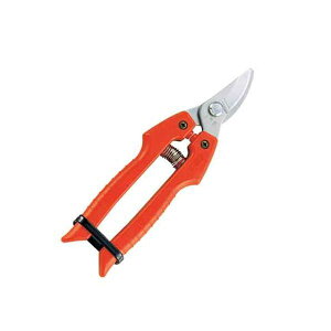 y11/25IIōő100|CgobNz4965280752116 AX K[fjO ^Cv SE|30 AXR[|[V ֐nK[fjO K[fjO^Cv ARS ^Cv{