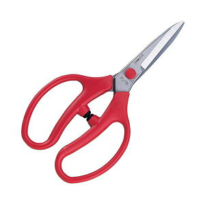 4965280995513 AX  to18 FL|18|BP AXR[|[V O^Cv ARS to Ԃ͂݃K[fjO͂ to18