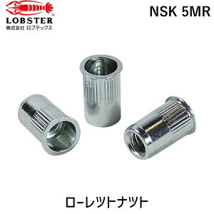 �y���[�݌ɕi�z�u�����v���u�e�b�N�X LOBSTER NSK 5MR ���[���b�g�i�b�g �����E�X�e�B�[���� ��2�D5 M5×0�D8 1000��