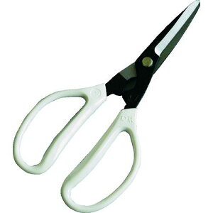 y[݌ɕizuvhEJ 4953981403208 t[G[X \