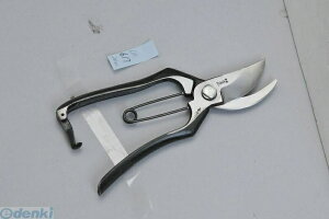 y11/25IIōő100|CgobNzhEJ 4953981510227  b ~ SF^ DK617